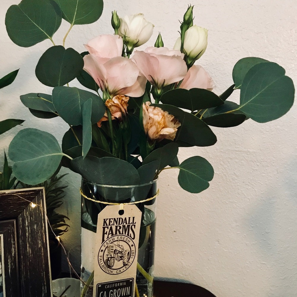Meet your Posher, Rose